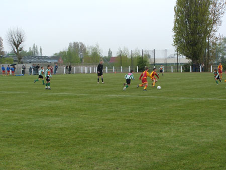 DSCF0266
